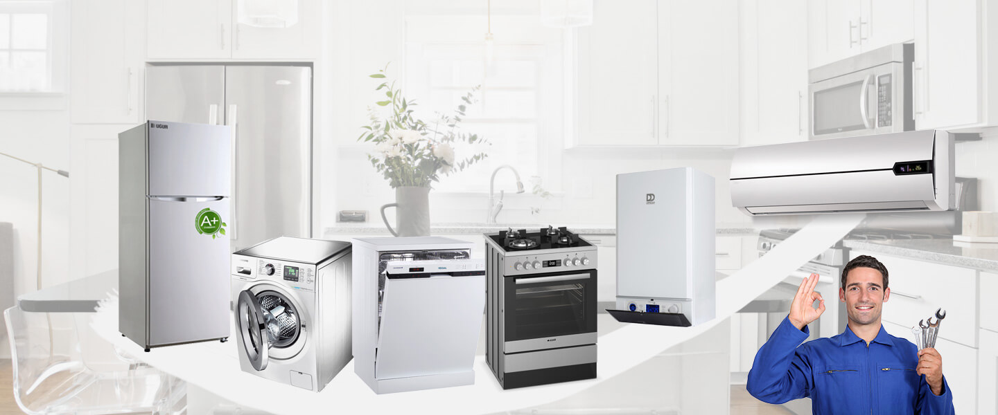 Çamlıyayla Smeg Servisi